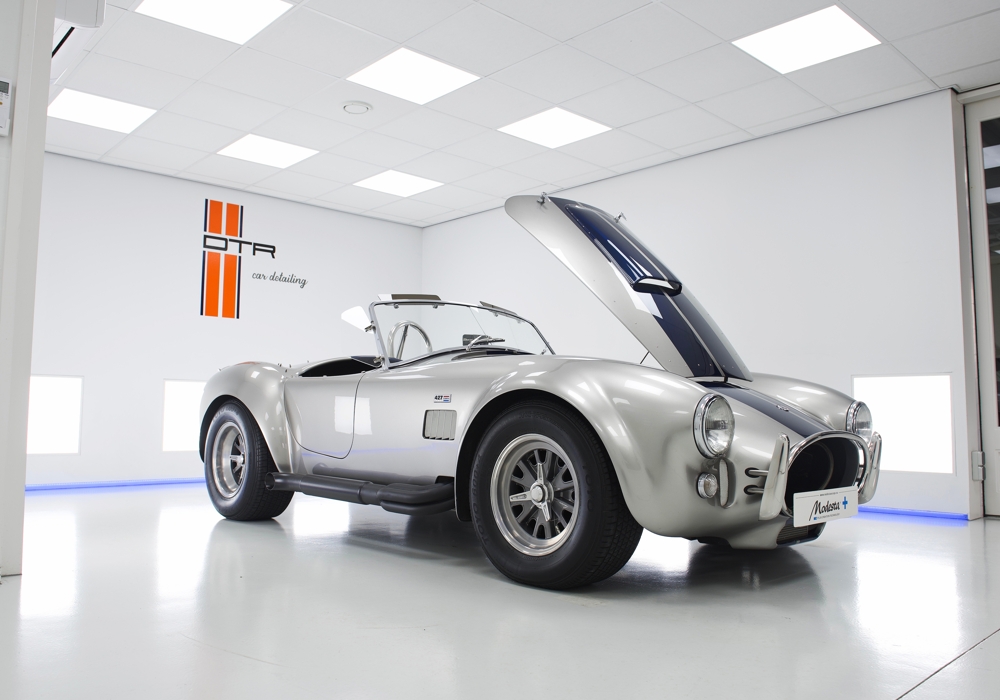 Ford Shelby Cobra Outlaw